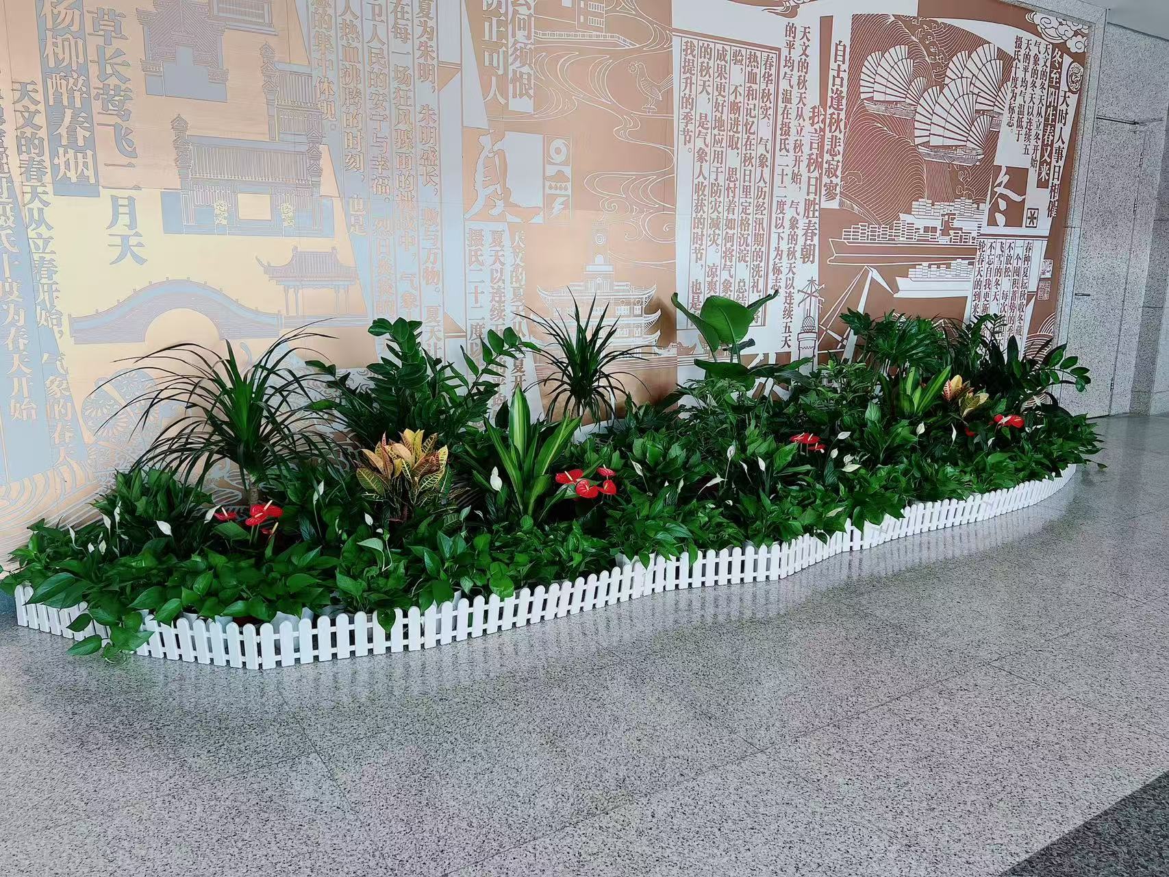 宁波花卉租赁方案大公开，让花卉点亮生活